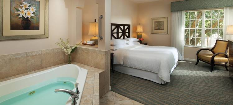 奥兰多布纳维斯塔湖维斯塔那万豪喜来登别墅度假酒店(Sheraton Vistana Resort Villas, Lake Buena Vista/Orlando)图片