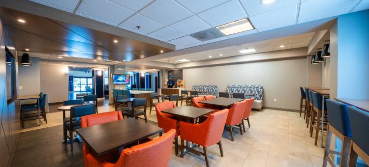 坦帕奥尔兹马智选假日酒店及套房(Holiday Inn Express & Suites Tampa Northwest-Oldsmar)图片
