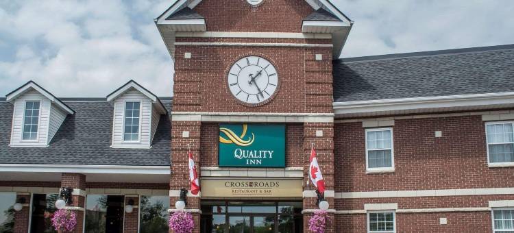 萨尼亚品质酒店(Quality Inn)图片