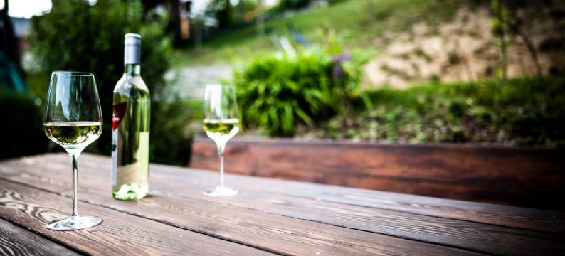 加斯特伍德夏夫特霍尔德酒店(Gastwirtschaft Hold)图片