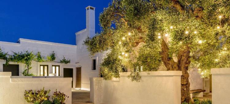 玛西利亚纳度齐民宿(Masseria Narducci)图片