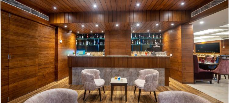 齐拉克普尔洛德斯旅馆(Lords Inn Chandigarh Zirakpur)图片