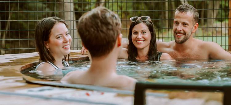 奥扎克尔旅馆(The Ozarker Lodge)图片