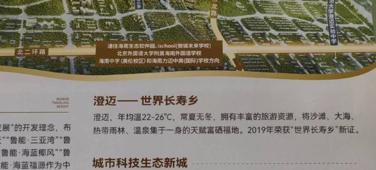 面朝大海椰城海墅度假别墅(桃源路分店)图片