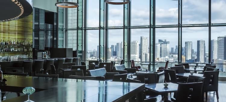 东京汐留皇家花园ICONIC酒店(The Royal Park Hotel Iconic Tokyo Shiodome)图片