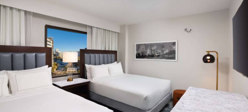休斯顿希尔顿逸林酒店及套房-医疗中心(DoubleTree by Hilton Houston Medical Center Hotel & Suites)图片