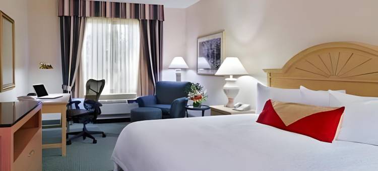 迈尔斯堡希尔顿花园酒店(Hilton Garden Inn Fort Myers)图片