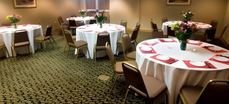 邓迪丽怡酒店(Country Inn & Suites by Radisson, Dundee, MI)图片