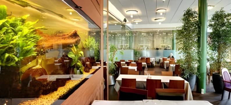 绍姆堡酒店(Hotel Schaumburg)图片