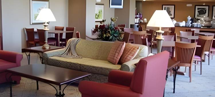 温德姆华美达酒店 伯克伯内特 / 威奇托福尔斯(Ramada by Wyndham Burkburnett / Wichita Falls)图片