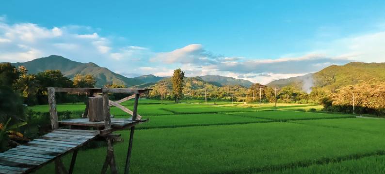 辛帕家庭旅馆(Hinpha Homestay)图片