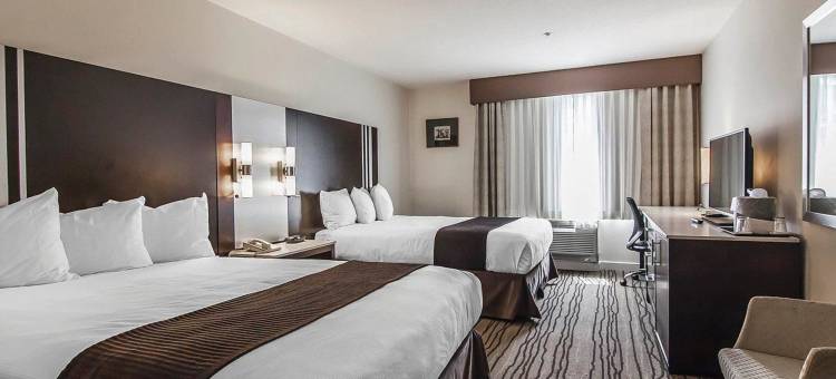 凯艺酒店-机场南(Quality Hotel Airport South)图片