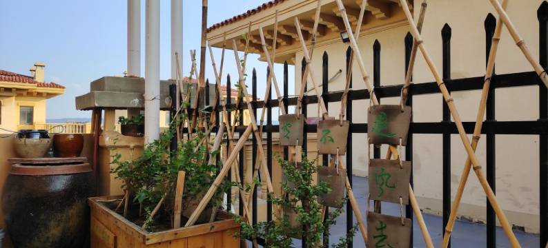 时光倒流小院(小泰山西路分店)图片