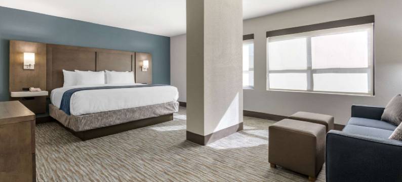 布里克尔市中心 - 迈阿密港舒适套房酒店(Comfort Inn & Suites Downtown Brickell-Port of Miami)图片