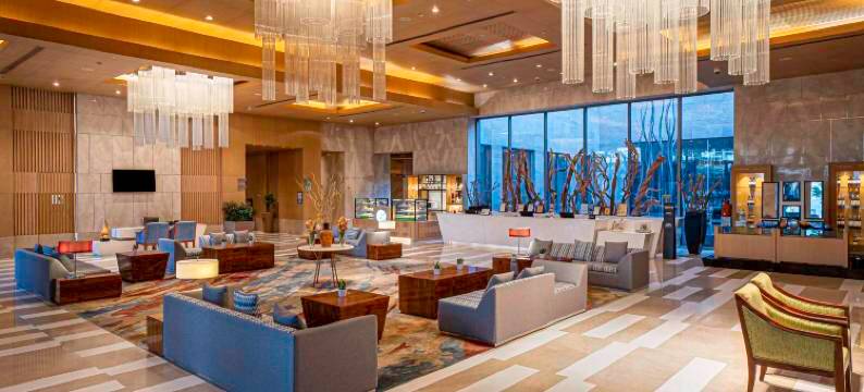 阿姆利则丽笙蓝标酒店(Radisson Blu Hotel Amritsar)图片