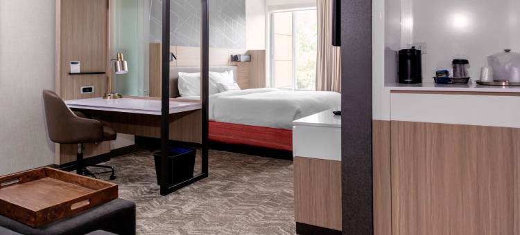 亚特兰大苏瓦尼约翰溪万豪SpringHill Suites酒店(SpringHill Suites Suwanee Johns Creek)图片
