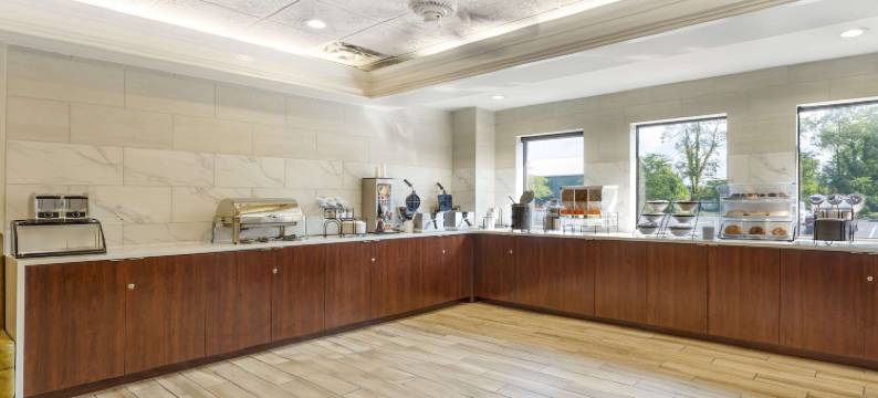 勒维尔坎伯兰舒适套房酒店(Comfort Inn & Suites LaVale - Cumberland)图片