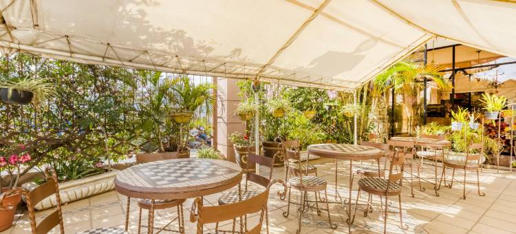 Capital O 金色山丘(Capital O Colina Dorada)图片