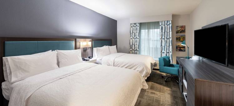 斯内尔维尔-亚特兰大东北希尔顿欢朋套房酒店(Hampton Inn & Suites Snellville Atlanta NE)图片