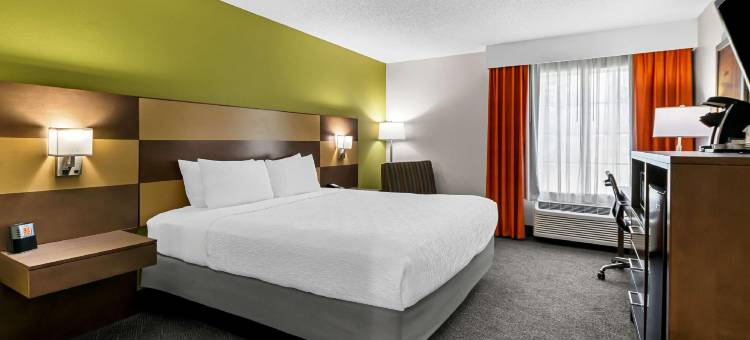 尼斯维尔贝斯特韦斯特埃格林空军基地酒店(Best Western Niceville - Eglin AFB Hotel)图片