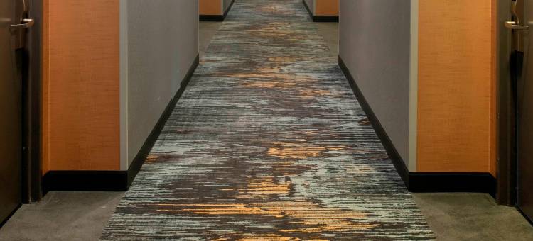 费城东北福朋喜来登酒店(Four Points by Sheraton Philadelphia Northeast)图片