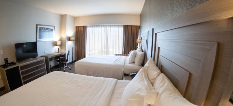 莱昂希尔顿花园酒店(Hilton Garden Inn Leon)图片