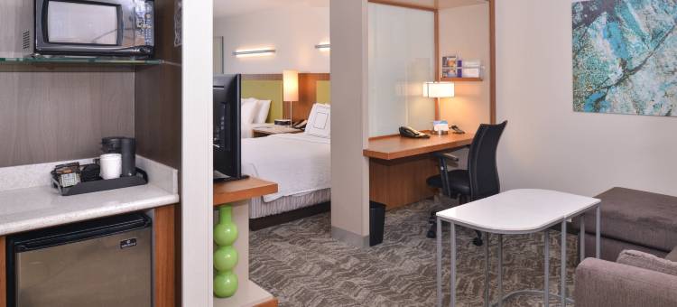 亨德森拉斯维加斯SpringHill Suites 酒店(SpringHill Suites Las Vegas Henderson)图片