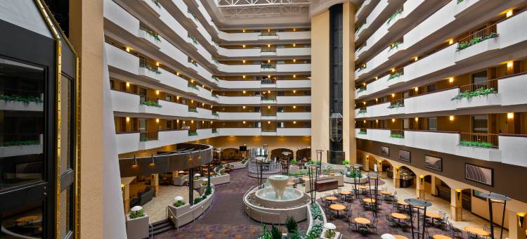堪萨斯城国际机场希尔顿安泊酒店(Embassy Suites by Hilton Kansas City International Airport)图片