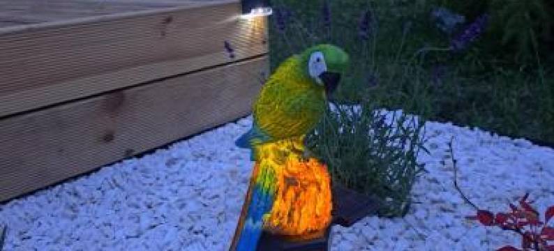 Leśny zakątek Malediwy Jacuzzi Free图片