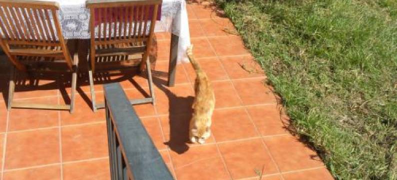 El Jardin de Los Gatos Apartament图片