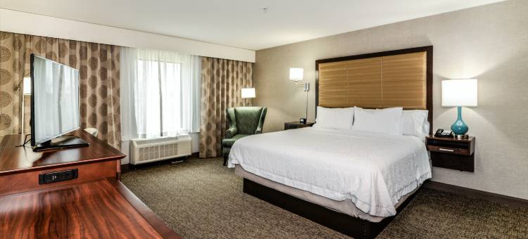 希尔顿欢朋酒店-布赖顿(Hampton Inn Brighton)图片