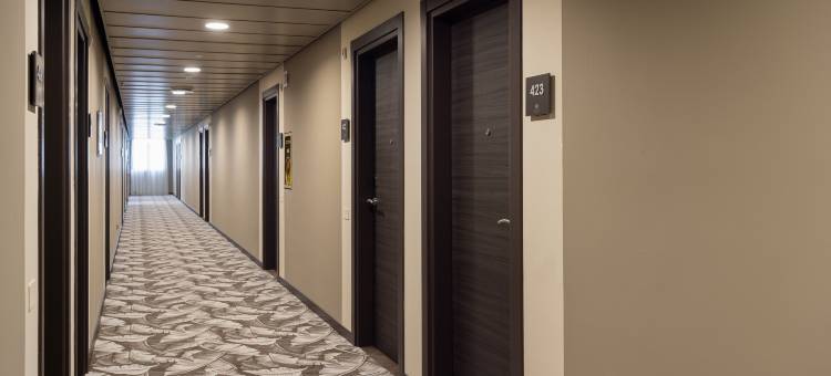 布雷西亚希尔顿逸林酒店(Doubletree by Hilton Brescia)图片