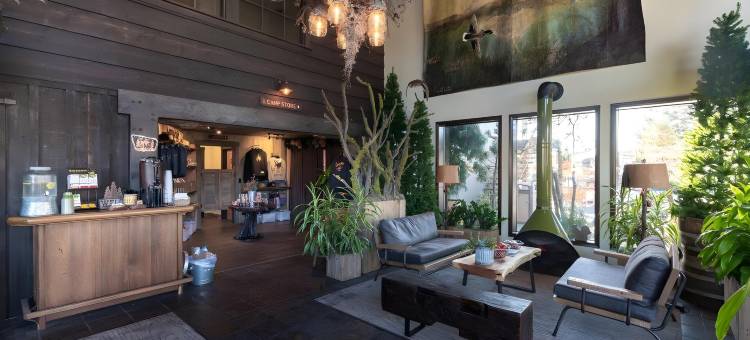 Campfire酒店(Campfire Hotel)图片