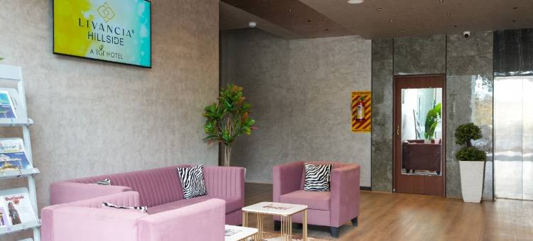 山坡酒店(Hillside Hotel)图片