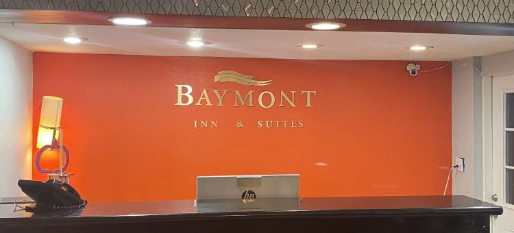 敖得萨大学区温德姆呗盟酒店(Baymont by Wyndham Odessa University Area)图片