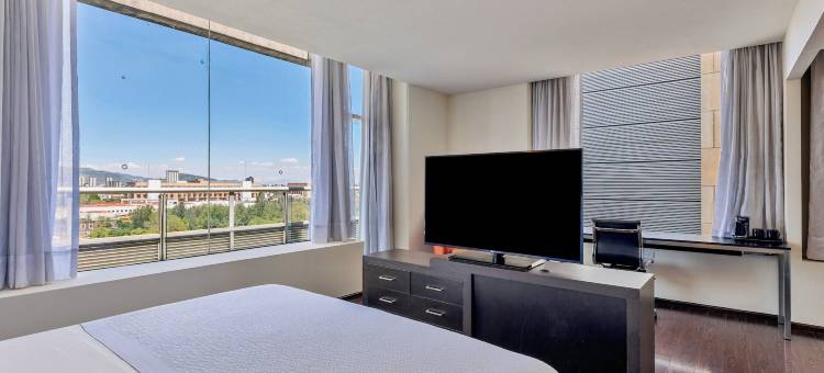 历史中心嘉年华旅馆(Fiesta Inn Centro Historico)图片