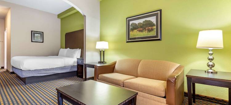 舒适酒店及套房-阿什伯勒东部(Comfort Inn & Suites Asheboro East)图片