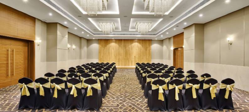 纳特德瓦拉丽笙酒店(Radisson Hotel Nathdwara)图片