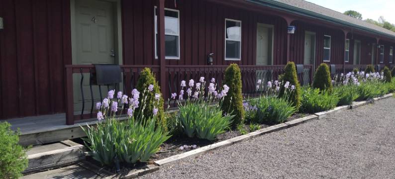 麦田鹰旅店(The Meadowlark Inn)图片