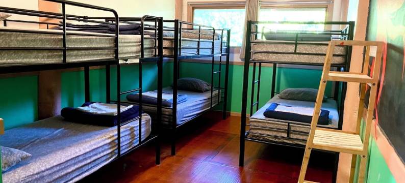 杰卡卢树屋雨林休闲旅馆(Jackaroo Treehouse Rainforest Retreat)图片