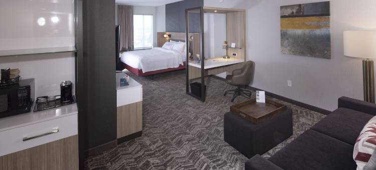 纽华克市区SpringHill Suites酒店(SpringHill Suites Newark Downtown)图片