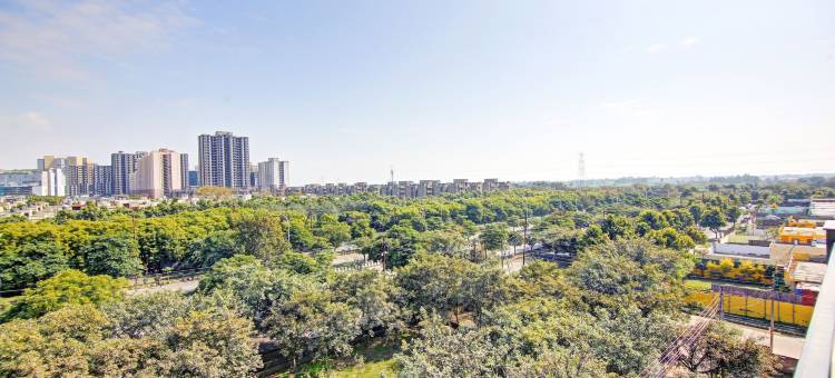 Treebo 伊甸洛克(Treebo the Eden Roc)图片