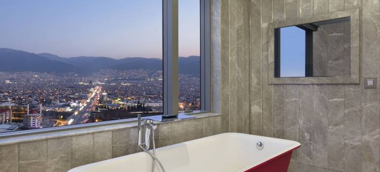 布尔萨会议中心希尔顿水疗酒店(Hilton Bursa Convention Center & Spa)图片