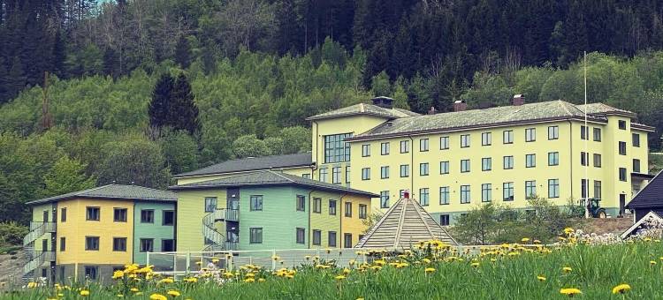 Sjøholt夏日旅馆(Sjøholt Sommerhotell Bed&Breakfast)图片