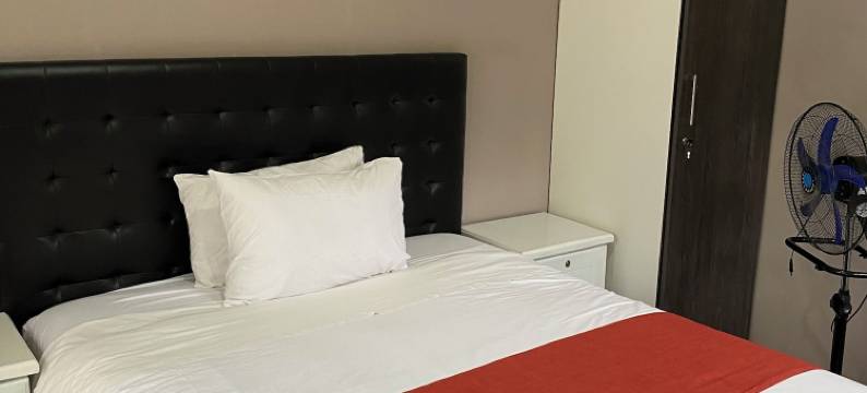 拉斯帕尔马斯旅馆(Las Palmas Guest House)图片