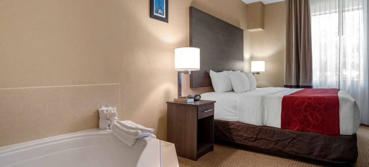 莫比尔舒适全套房酒店(Comfort Suites Mobile West/Tillmans Corner)图片