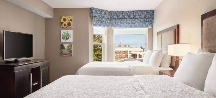 希尔顿欢朋套房酒店-北韦恩堡(Hampton Inn & Suites Ft. Wayne-North)图片