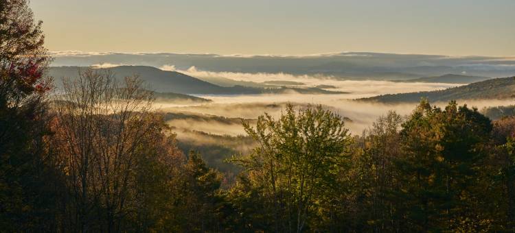 Amanita Dome. All-Inclusive Food and Drinks.图片