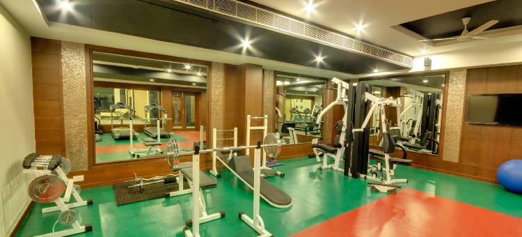 凯拉什国际酒店(Hotel Kailash International)图片