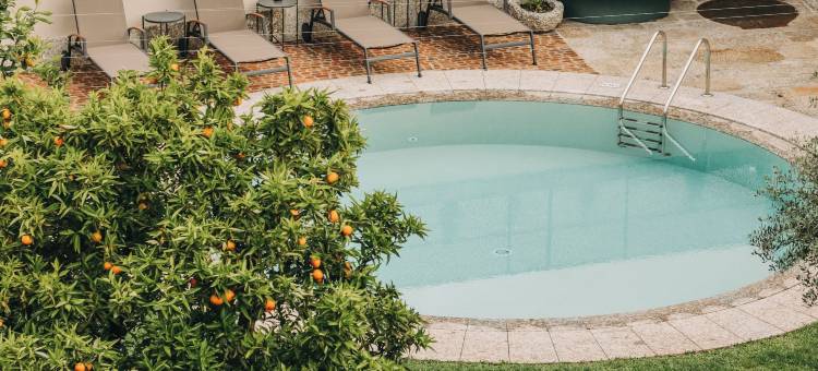 征服者宫殿(Torel Royal Court)图片